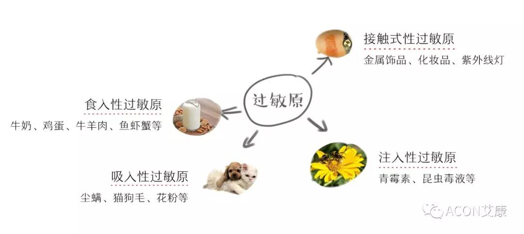 APAAACI 2019 | 深入解讀過(guò)敏原：從診斷到治療，優(yōu)化過(guò)敏原診斷管理——艾康生物過(guò)敏原檢測分會(huì )