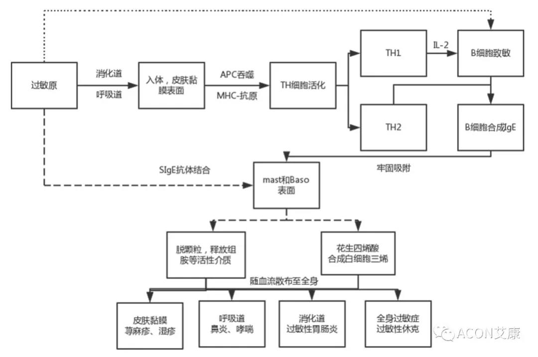 APAAACI 2019 | 深入解讀過(guò)敏原：從診斷到治療，優(yōu)化過(guò)敏原診斷管理——艾康生物過(guò)敏原檢測分會(huì )
