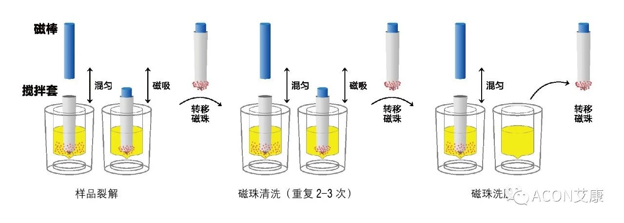 Promotor?核酸提純儀， 讓基因提純更便捷。