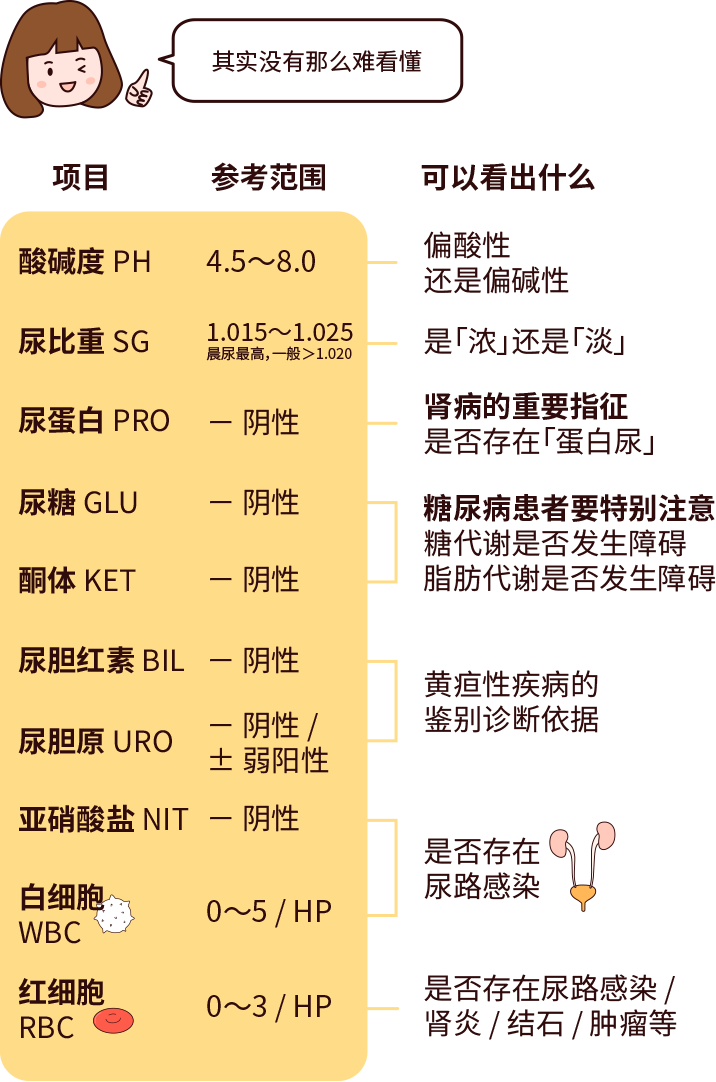 排尿黃、異味大，可能是身體在報警！