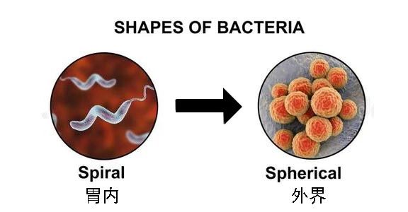 這種致癌物傳染性極強，50%中國人都有！很多人還不知道
